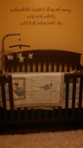 Wild Horses song used for Baby Nursery Custom Vinyl Wall Quotes