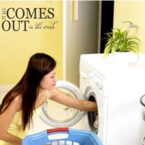 "It all comes out in the wash" - Laundry Room Vinyl Wall Decor