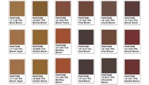 Brown Color Meaning & Brown Symbolism 700x400