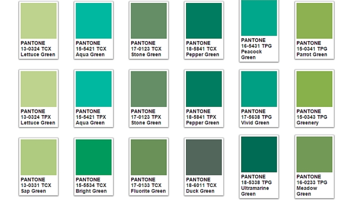140 Things That Are Green in Nature - Color Meanings