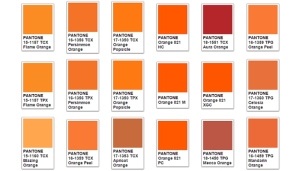 Orange Color Meaning & Orange Symbolism 700x400
