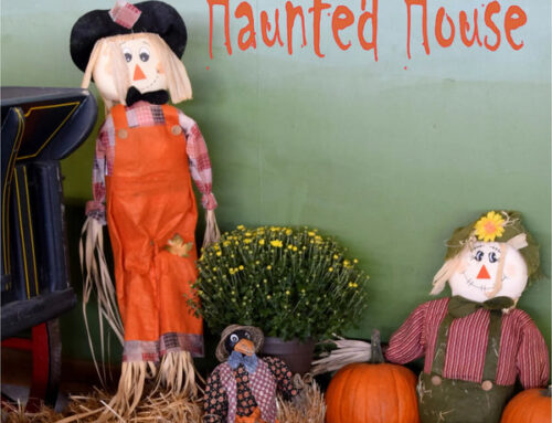Halloween Wall Decals: 22 Easy Ideas for Your Home, Porch & Party