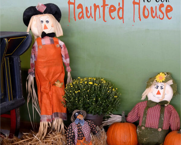 Halloween Wall Decals: 22 Easy Ideas for Your Home, Porch & Party